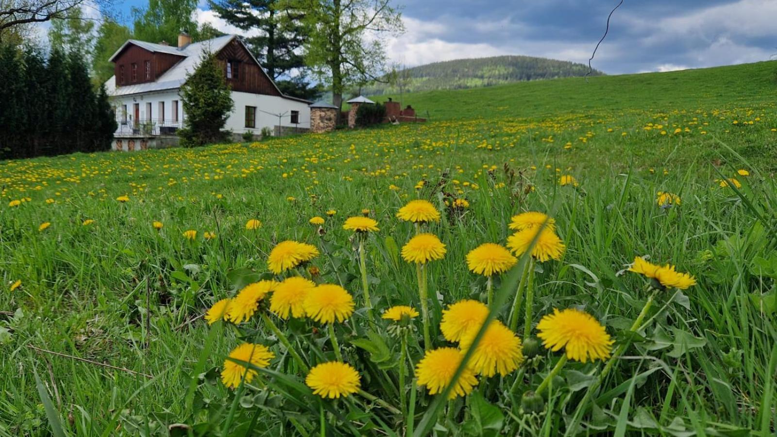 Knezice 25, Chalupa V Krkonosich Врхлабі Екстер'єр фото